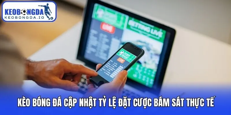 Kèo Bóng Đá Kaargo - Bảng Tỷ Lệ Bóng Đá Kèo Nhà Cái, Tỷ Số, BXH Mới Nhất 12 Kèo bóng đá cập nhật tỷ lệ đặt cược bám sát thực tế